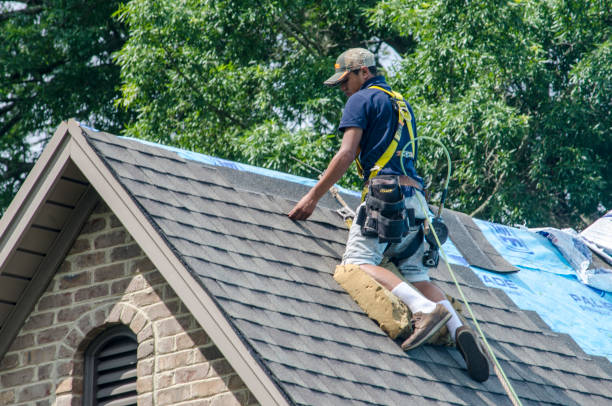 Best Residential Roofing Contractor  in Alamo Heights, TX