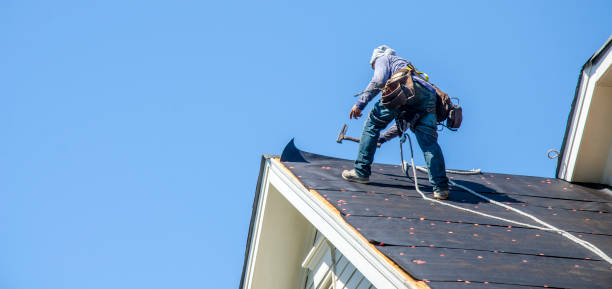 Best Roof Gutter Cleaning  in Alamo Heights, TX
